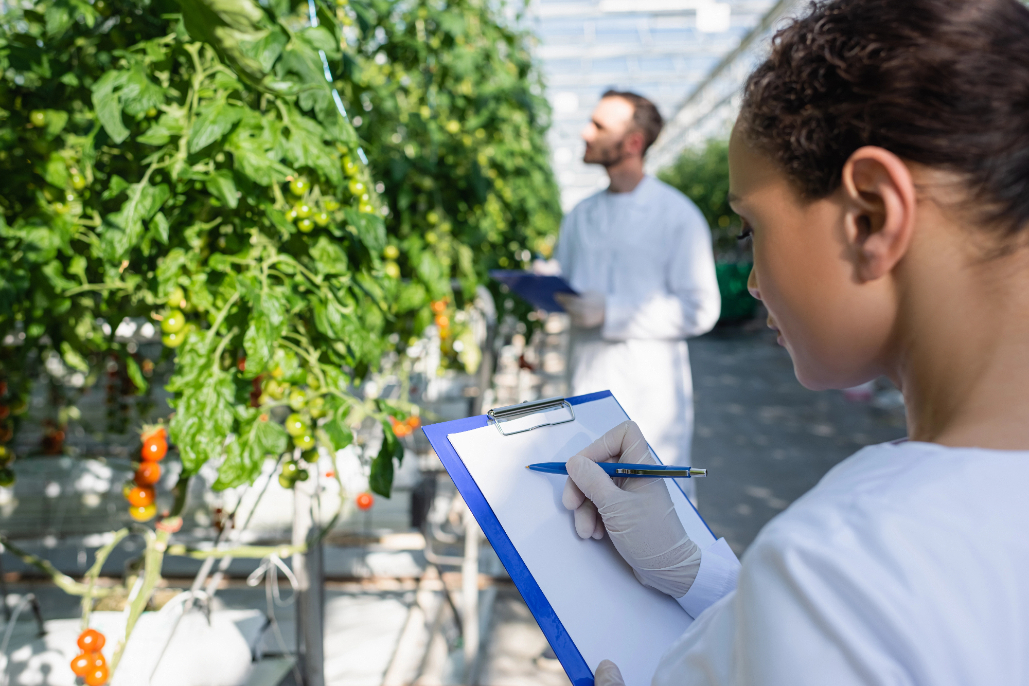 Kontrola kakovosti ima precej velik pomen